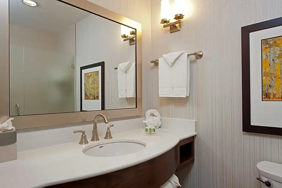 Hilton Garden Inn Indianapolis Downtown - Chambres