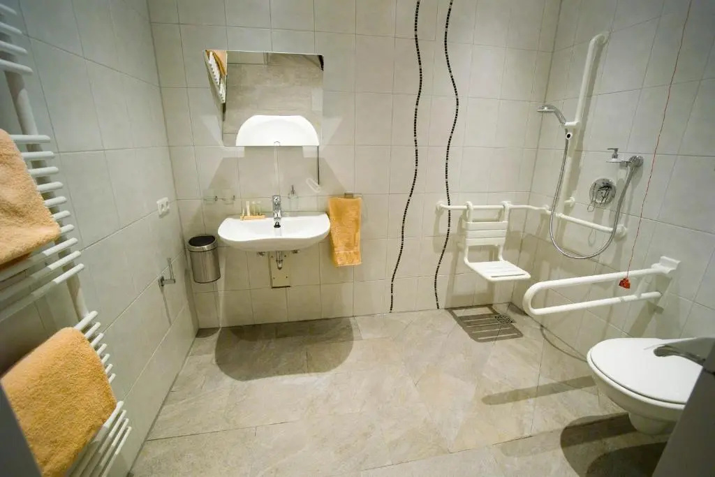 Comfort Double room (full double bed)