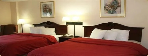 Budget Inn
