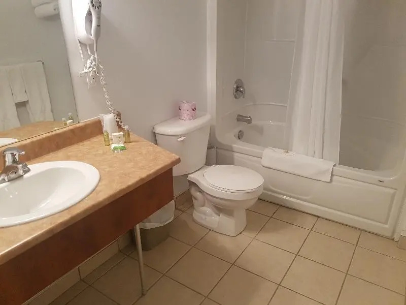 Hotel Les Suites Labelle - Chambres