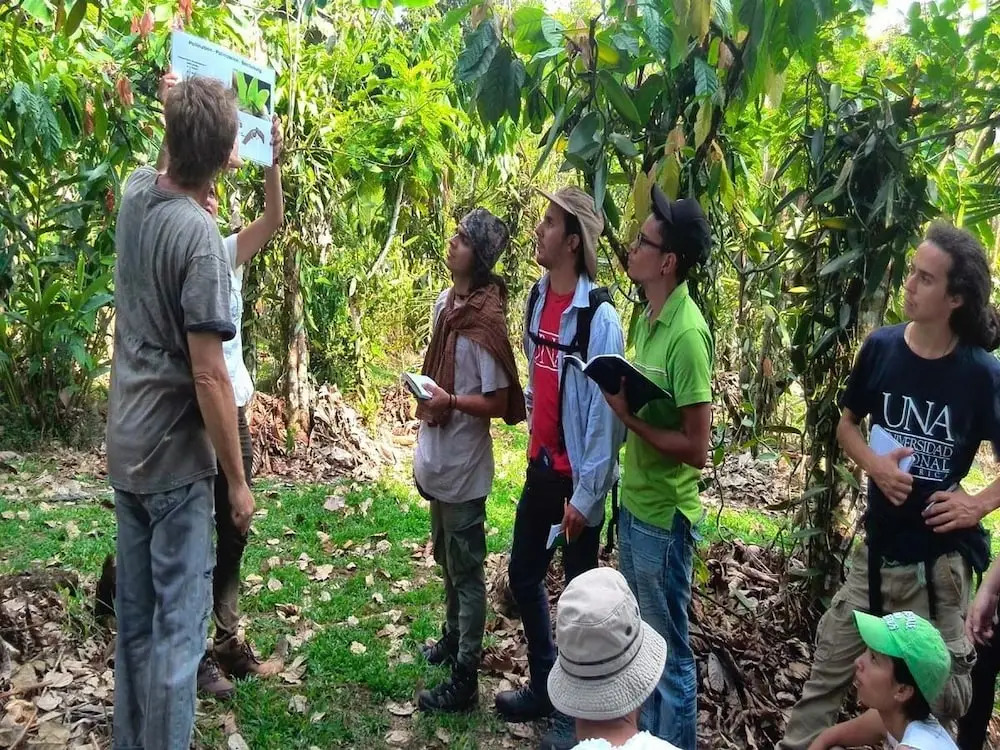 Vanilla Jungle Lodge - Bed & Breakfast - фото 7