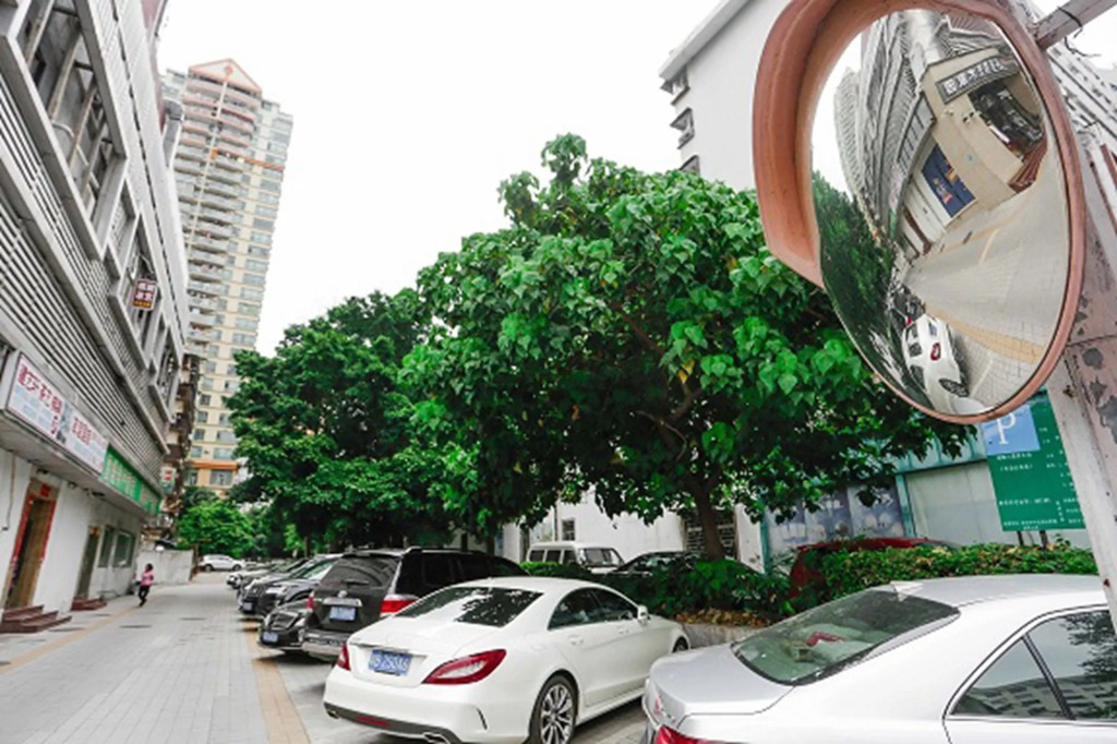 Shenzhen Ren Shan Heng Hotel - фото 20