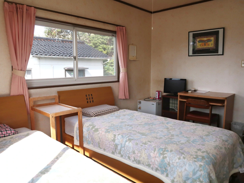 Standard Double room twin beds