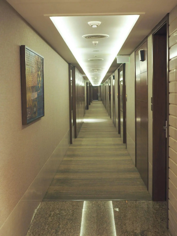 Niranta Airport Transit Hotel & Lounge Terminal 2 Arrivals/Landside - Général