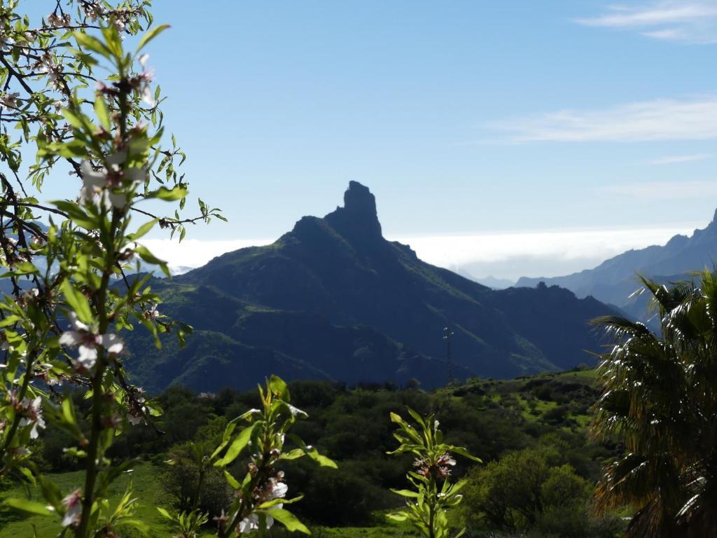 Finca la Isa - 2