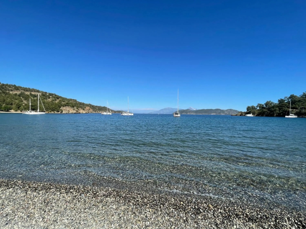 Dalya Life Hotel - фото 11