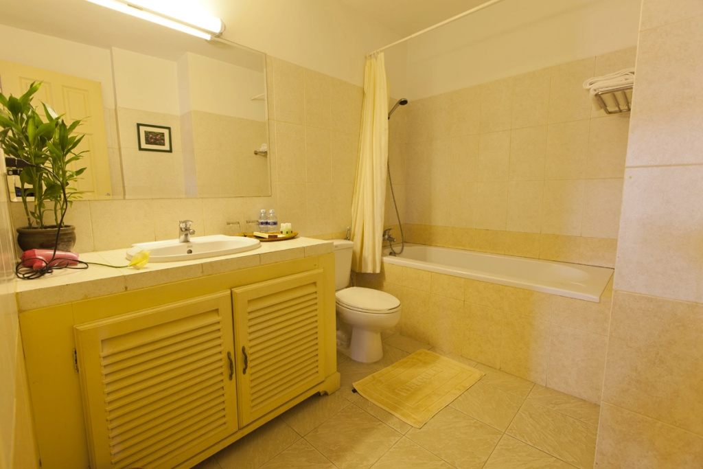 Deluxe Apartment