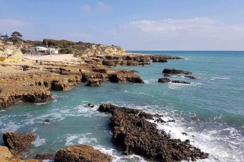 Beach & Waterfront