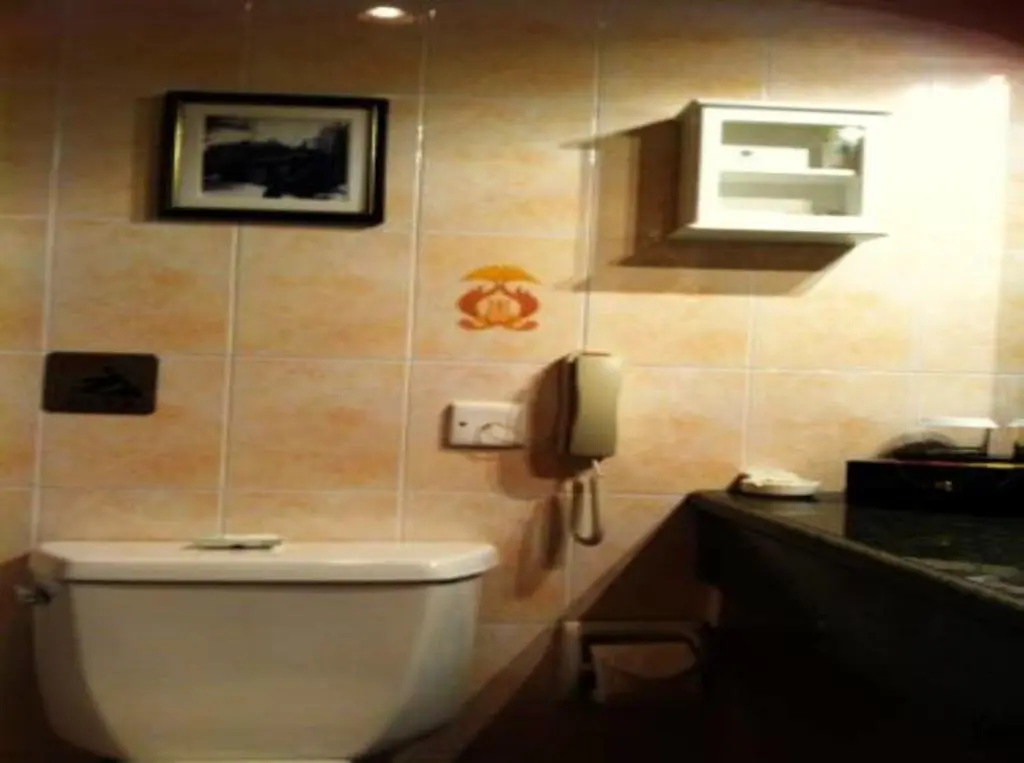 Anting Villa Hotel Shanghai - Chambres