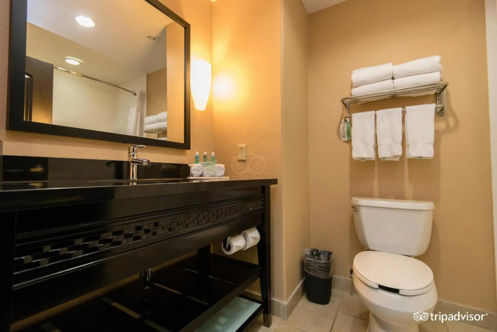 Comfort Inn & Suites Dallas Medical - Market Center - Général