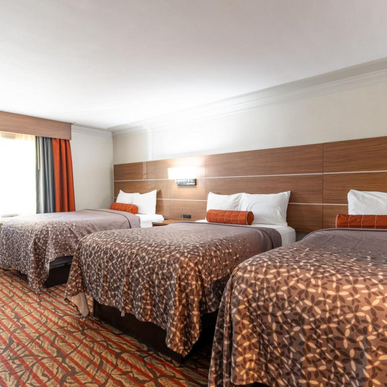 Hotel photo 36