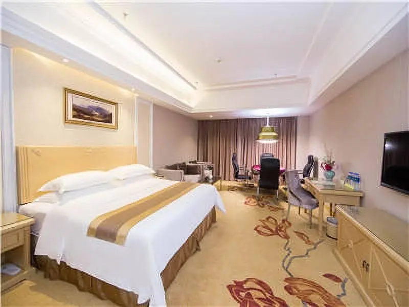 Vienna Hotel Heyuan Longchuan Branch - Chambres