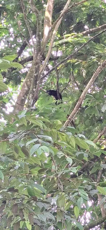 Hotel Sarapiquí - фото 5