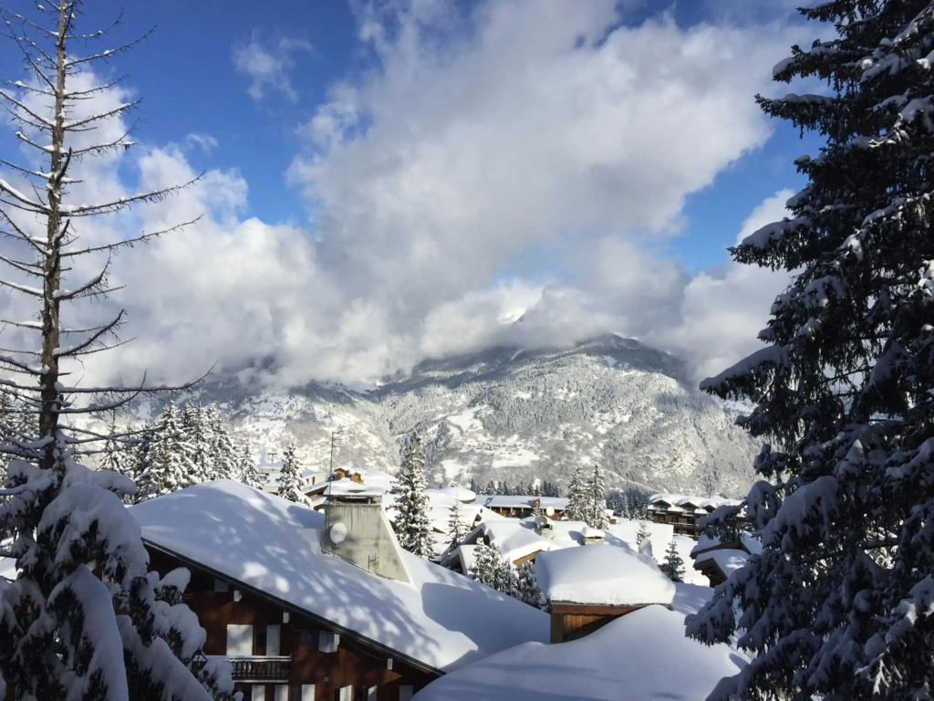 Snow Lodge Hotel Courchevel 1850 - фото 48