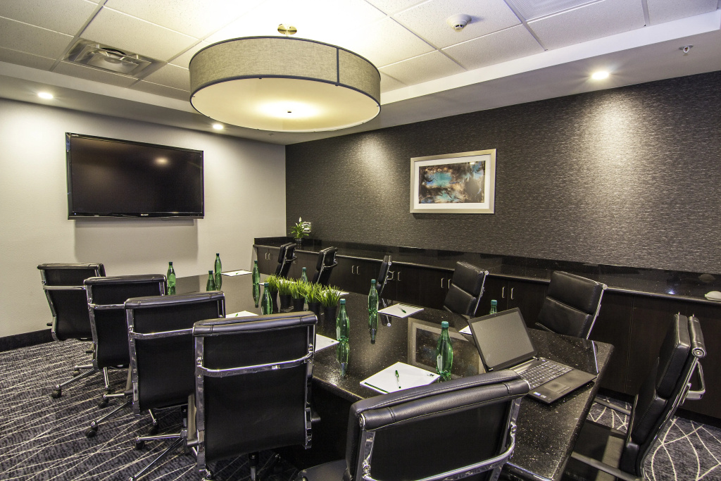 Holiday Inn Carlsbad by IHG - Général