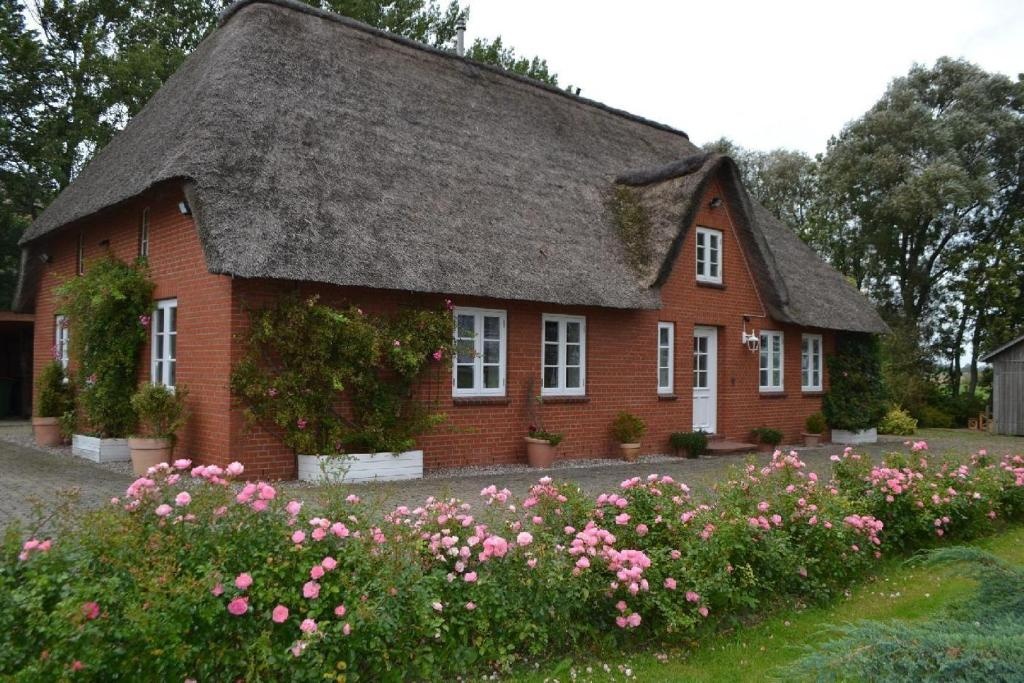 Rosenkate — 2