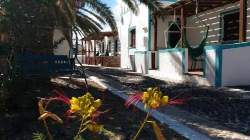 Palm Studios
