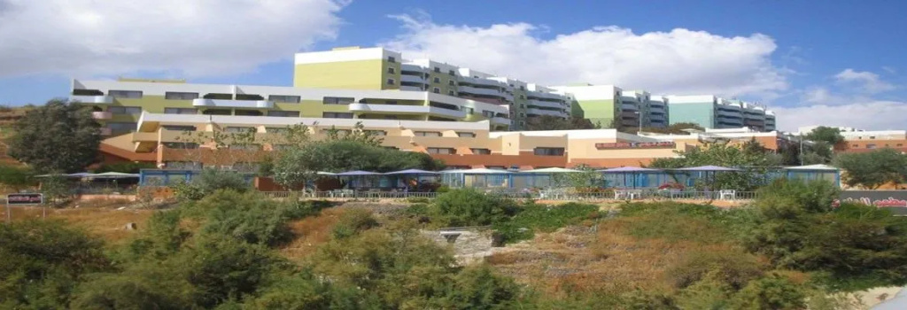 New Abha Resort