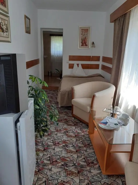 Vila Floare de Colt - Chambres