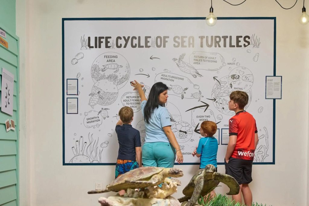 The Ravenala Attitude - фото 34