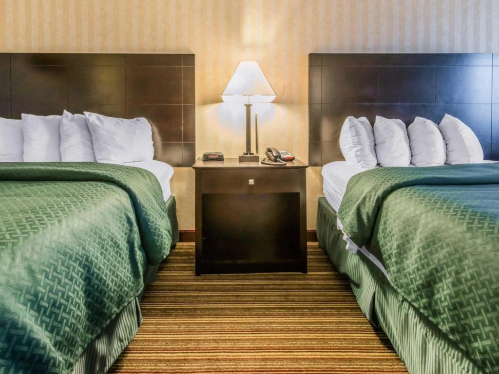 Comfort Inn - Chambres