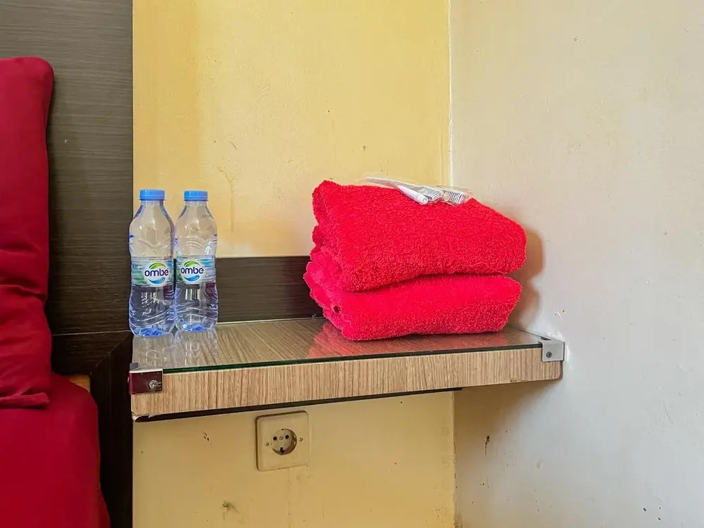 Greenville Hotel - фото 4