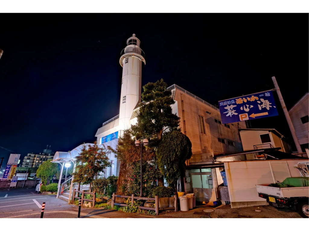 Hotel Hagi Travel Inn - фото 12