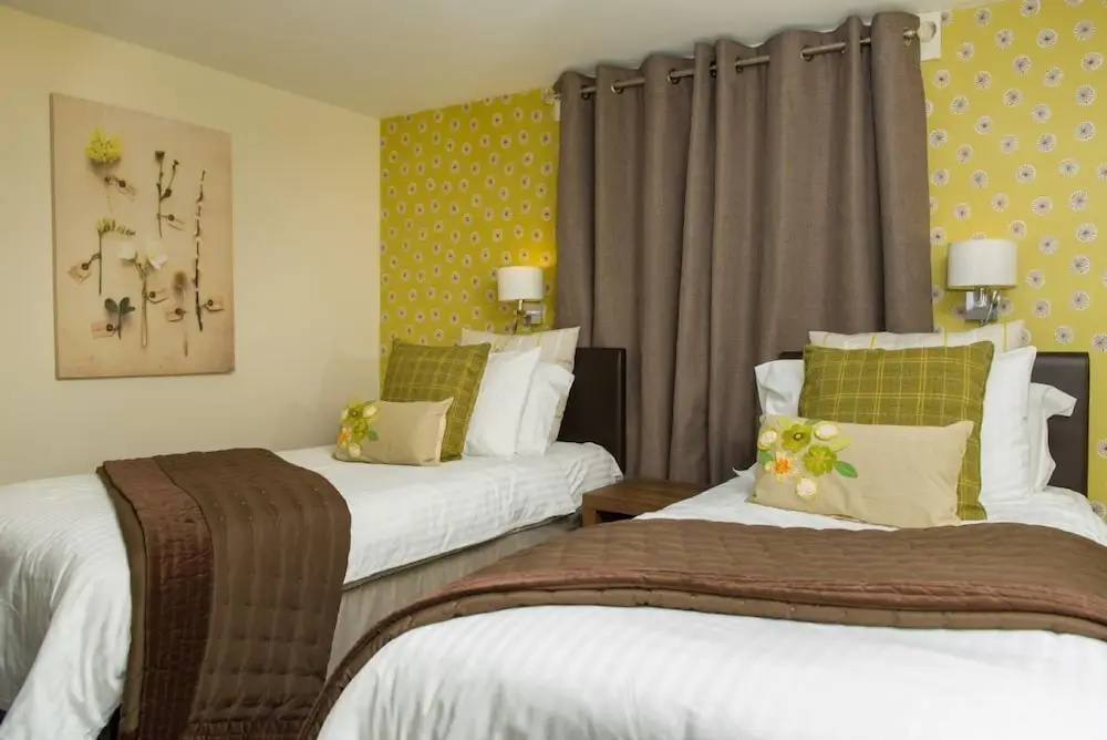 Standard Double Basement room (twin beds)
