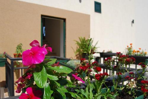 Отель Apartment Divina, фото 1