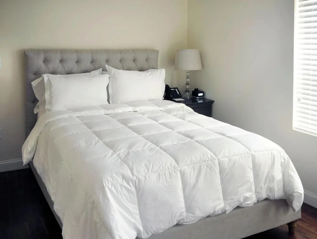 2 Bedrooms Suite
