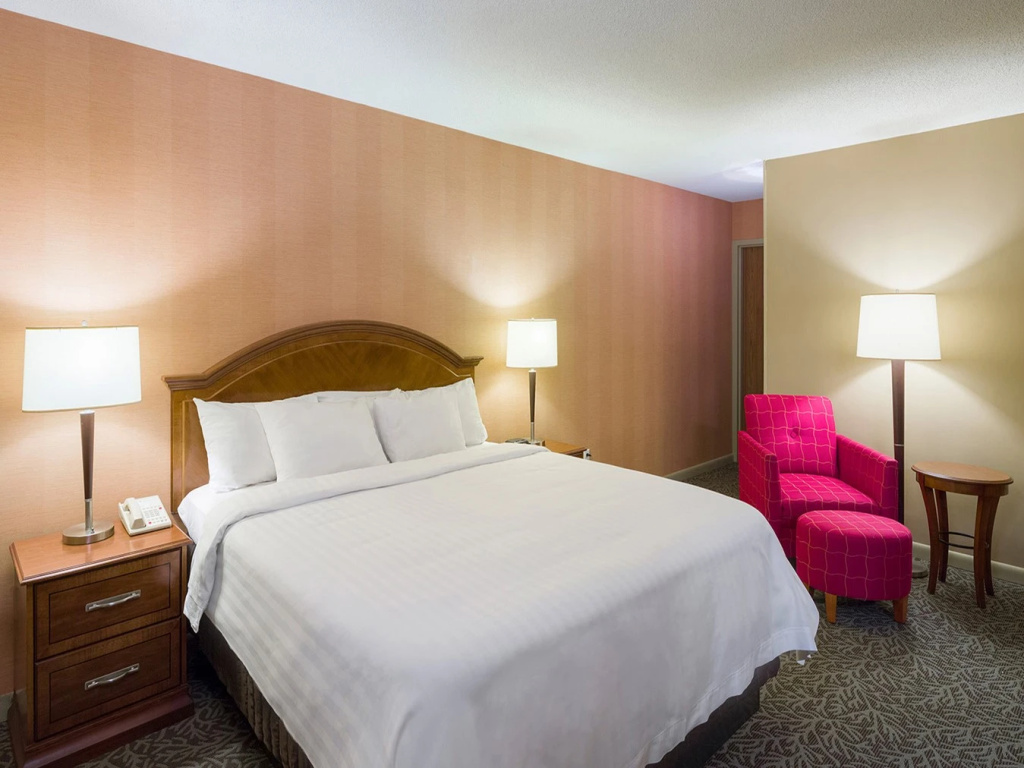 Deluxe Double room (full double bed)