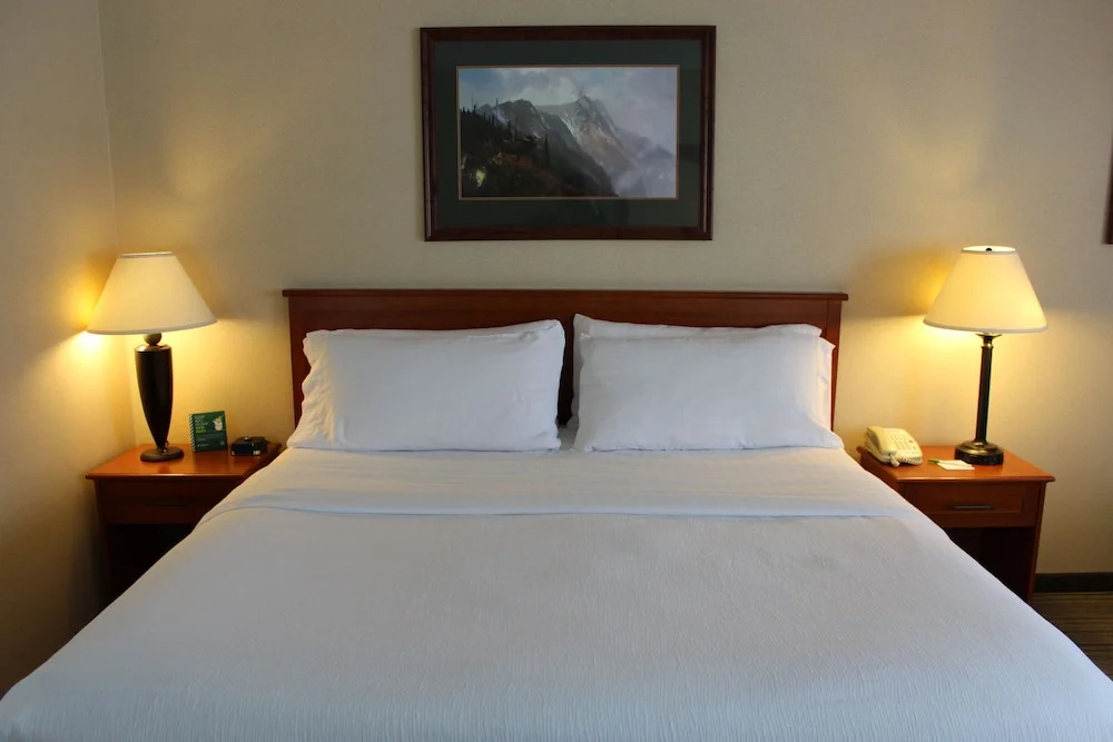 3 Rivers Hotel - Chambres