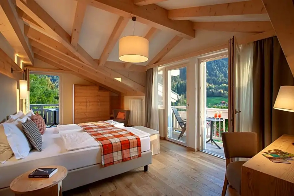 Standard Double room with mountain view (full double bed)