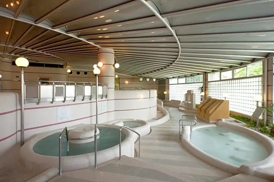 Hotel Morinokaze Tateyama - Chambres