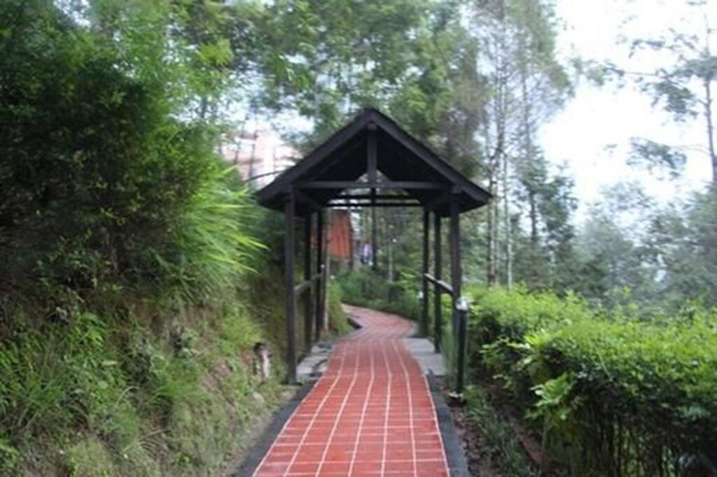 Image 11