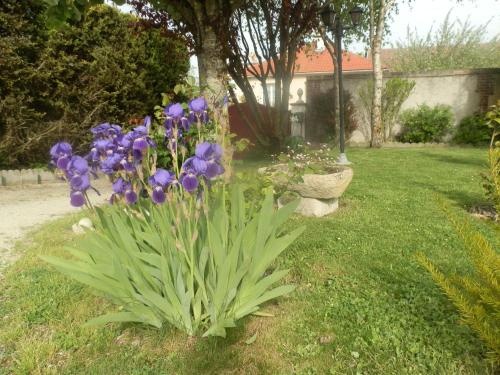 Chambre D'Hotes Floralia