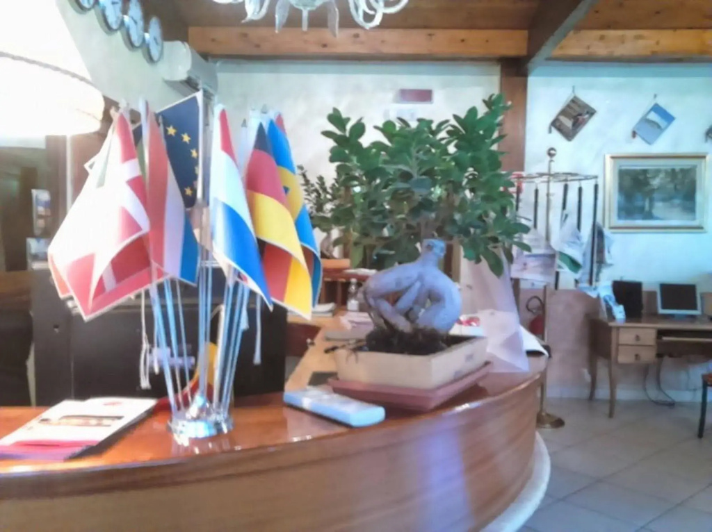 Hotel photo 15