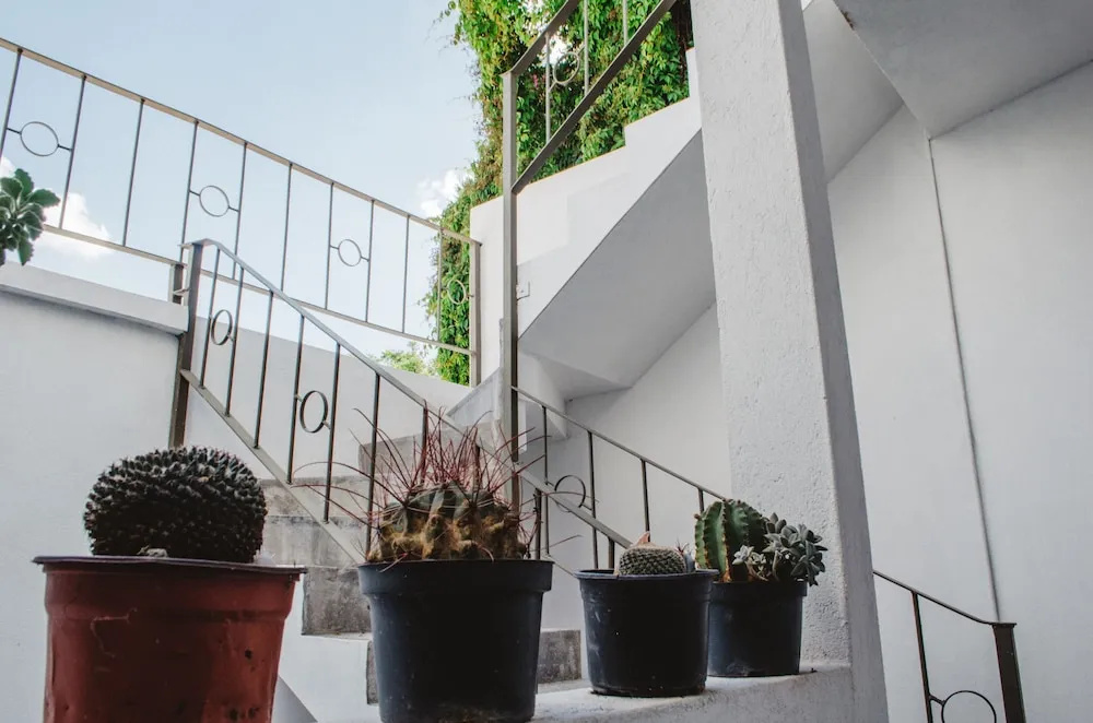 Casa Mariel