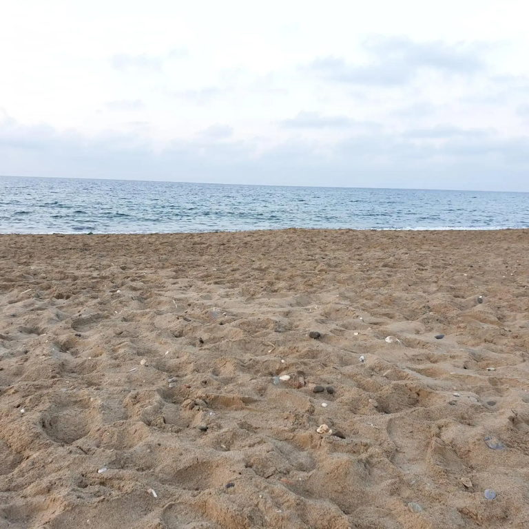 Hotel photo 48