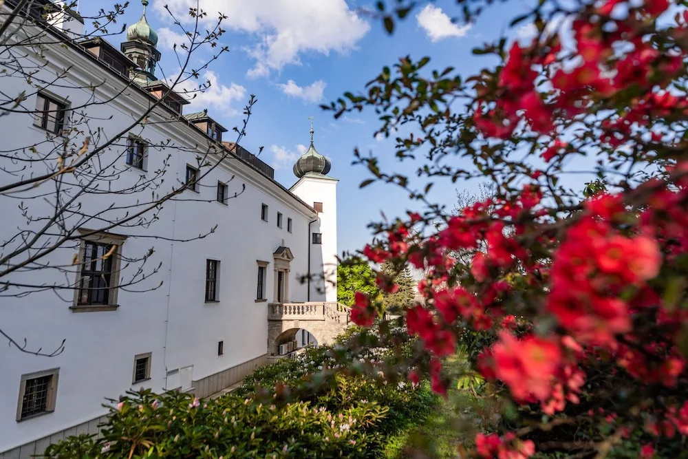Chateau Třešť