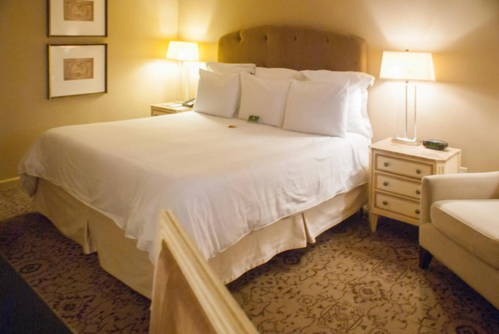 Dauphine Orleans Hotel - Général