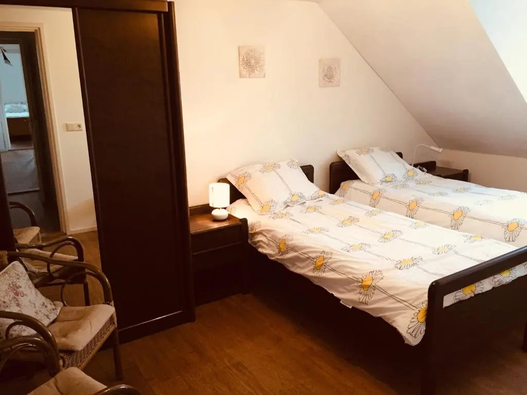 Standard Double room (twin beds)