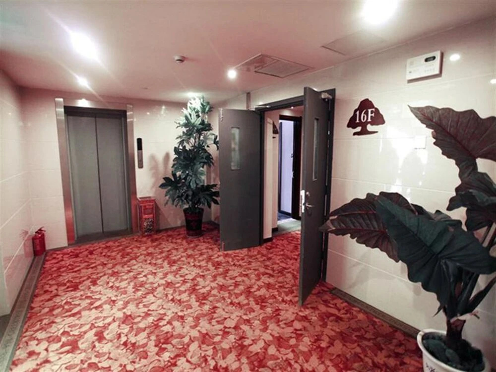 GreenTree Inn Anhui Wuhu Zhongshan Road Pedestrian Street Express Hotel - Général