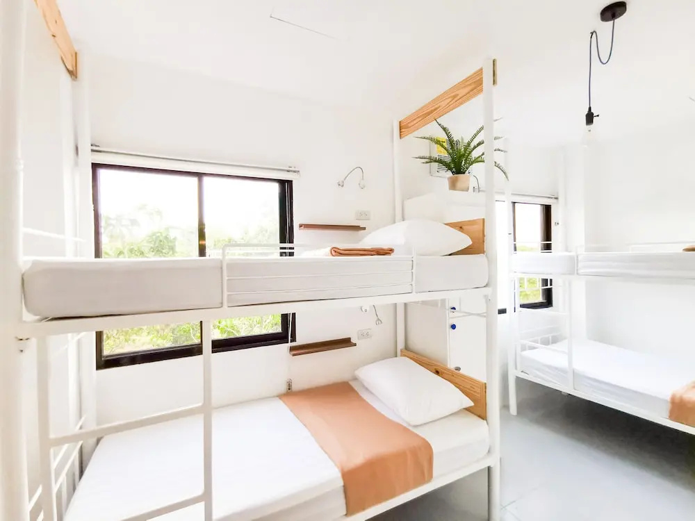 Bed in Dorm