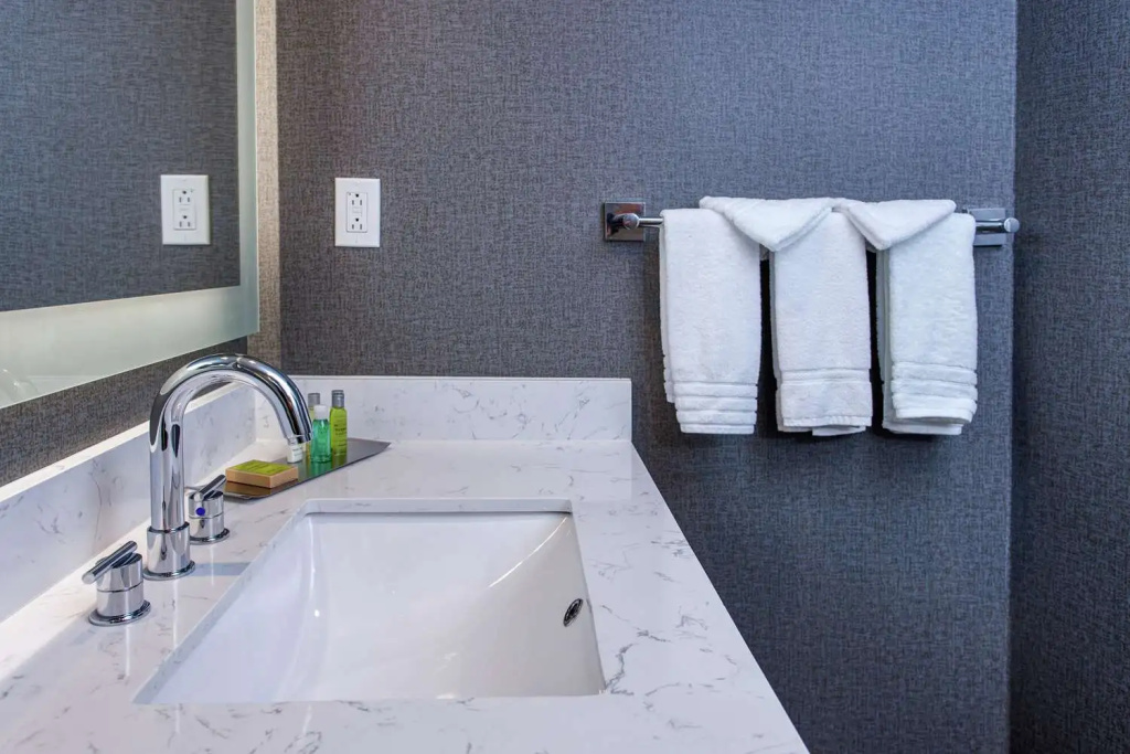 DoubleTree by Hilton Appleton - Chambres