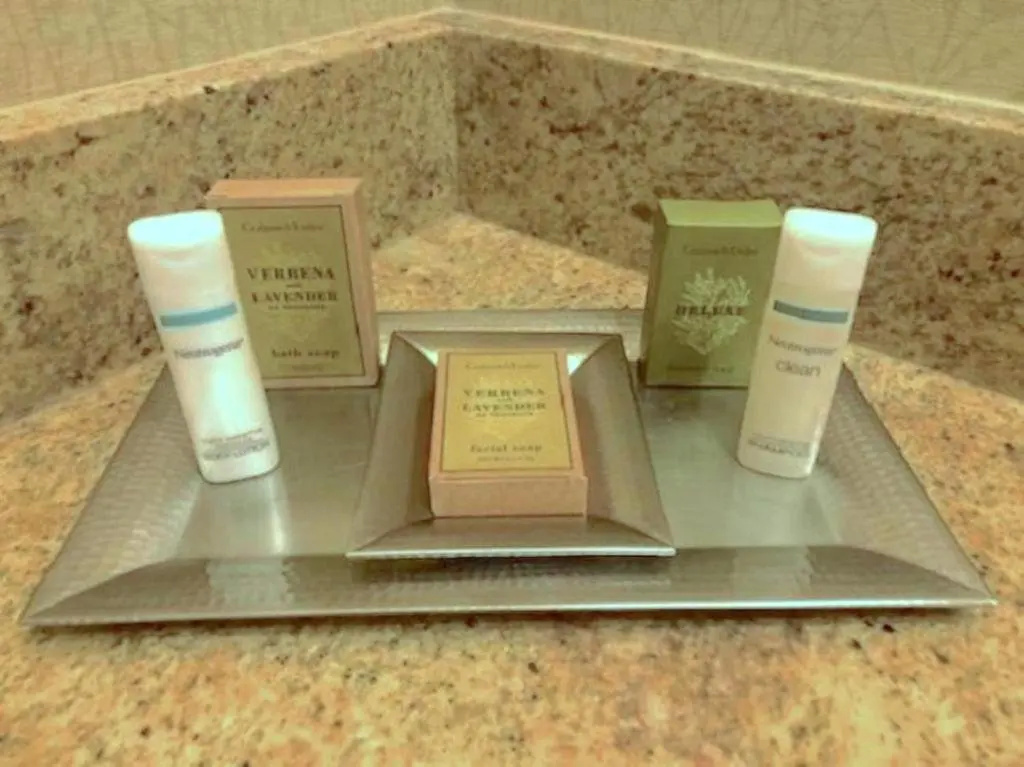 DoubleTree by Hilton Lisle Naperville - Chambres
