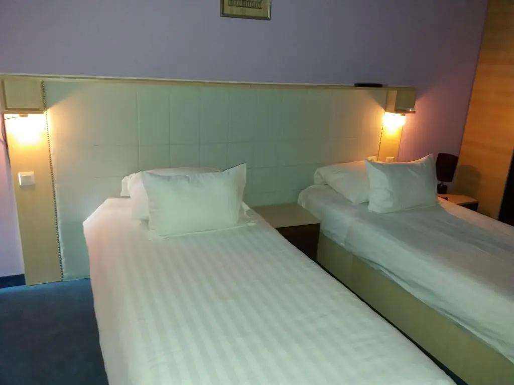 Standard Double room with mountain view (twin beds)