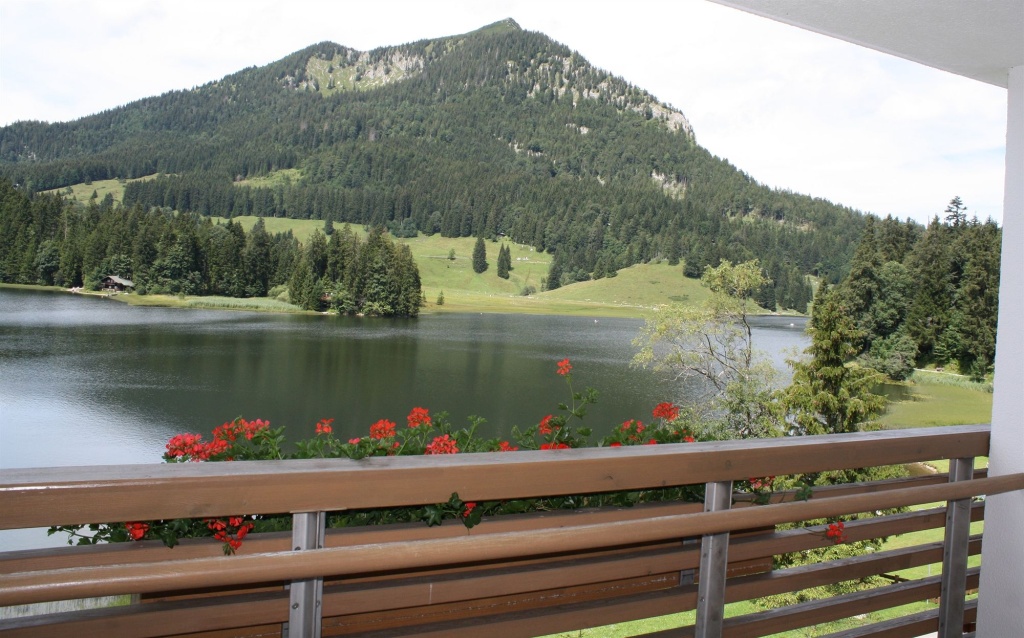 Balcony & Terrace