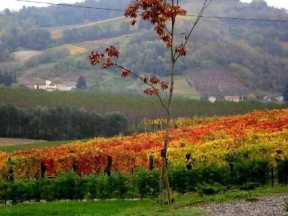 Le Due Cascine Agriturismo - Général