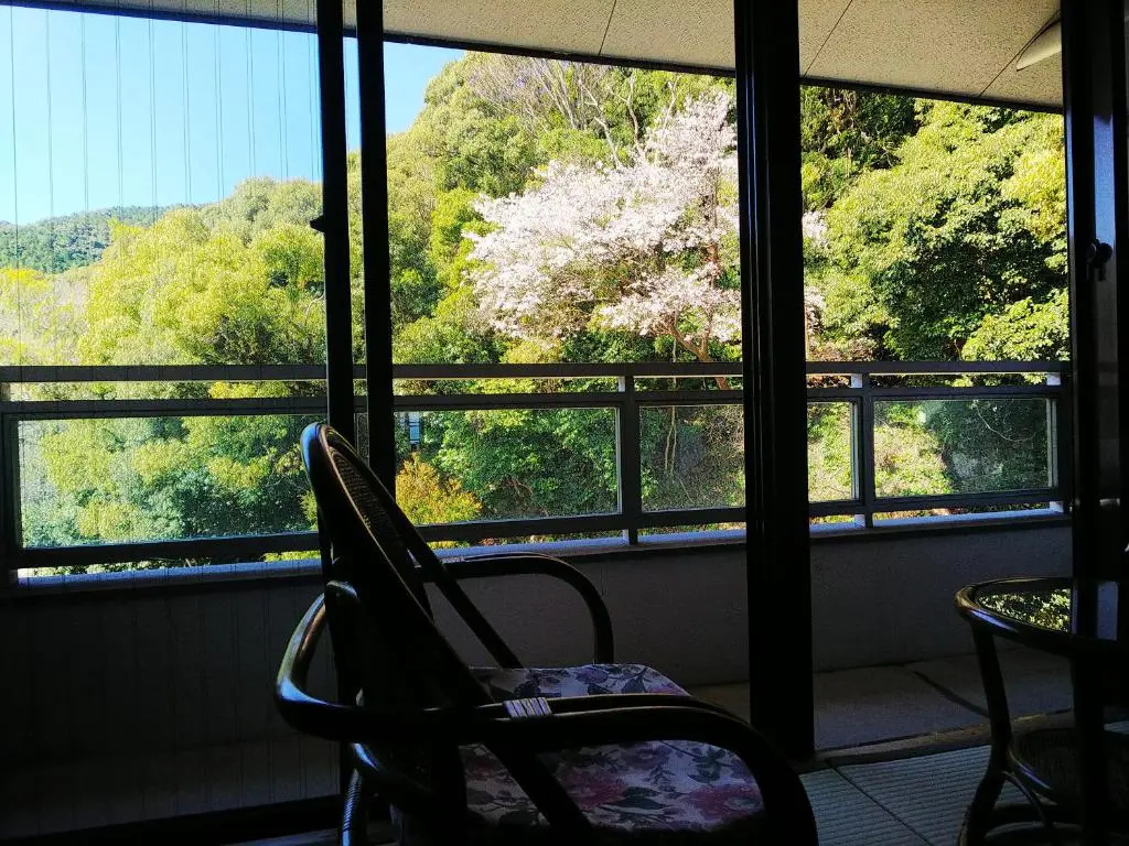 Tosaryu Onsen Sanyoso Ryokan - Chambres